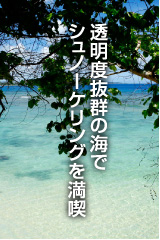 透明度抜群の海でシュノーケリングを満喫