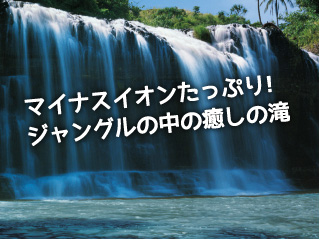 マイナスイオンたっぷり！ジャングルの中の癒しの滝