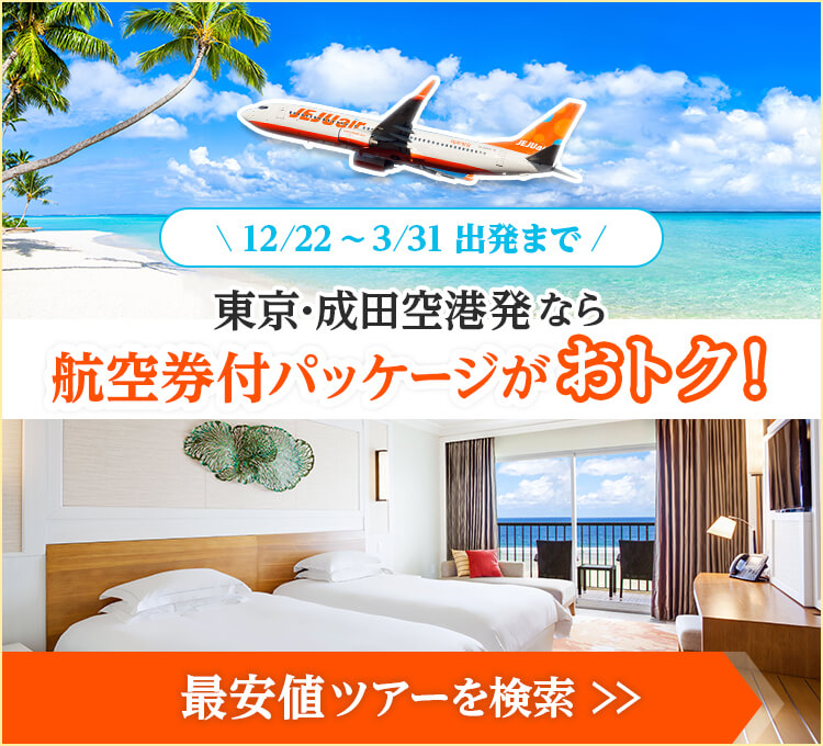 航空券付パッケージがおトク！
